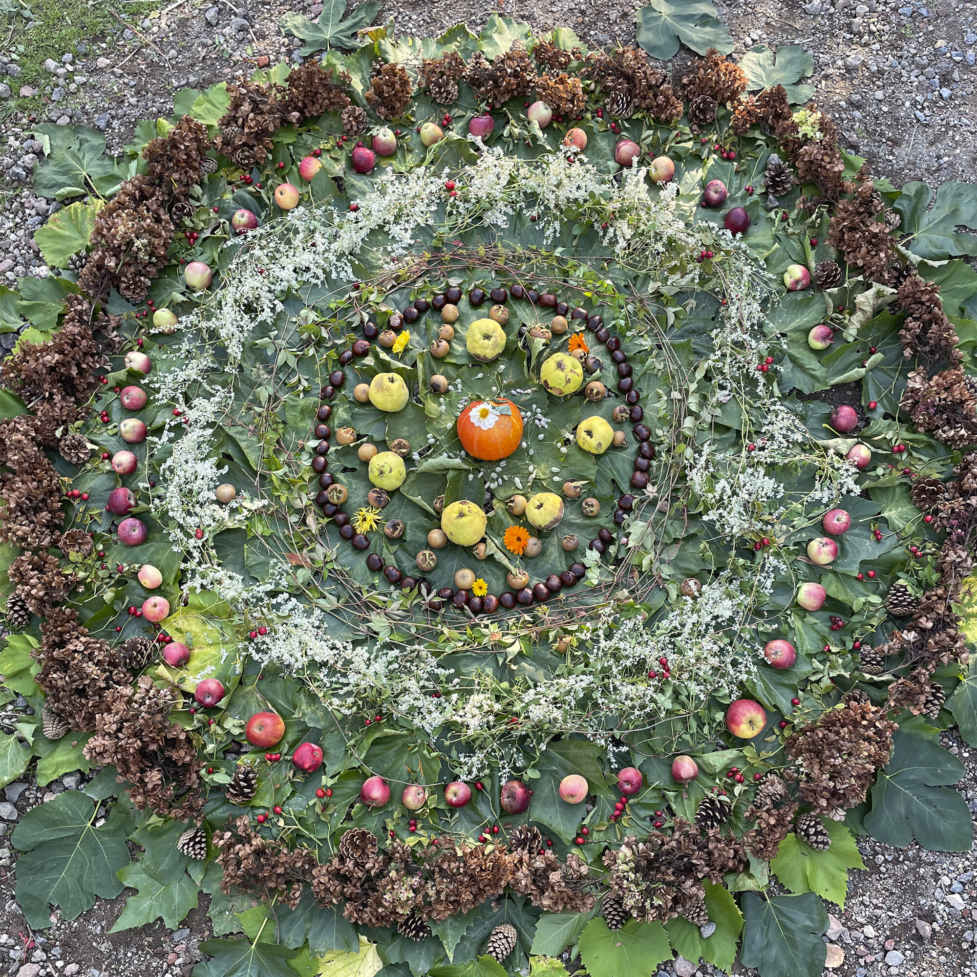 Du betrachtest gerade EIN MANDALA VOLLER HERBSTFARBEN