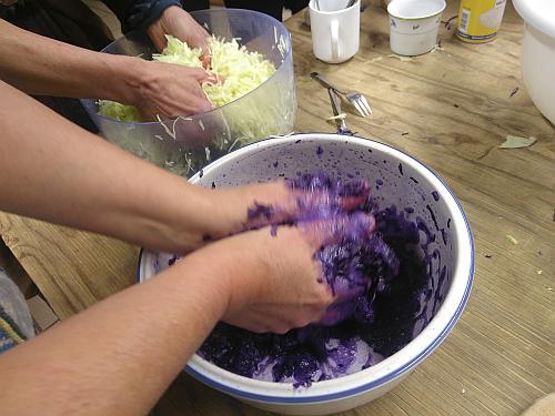 Mehr über den Artikel erfahren Workshop Gemüse fermentieren